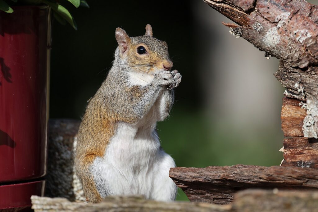 摂食嚥下リハの認定看護師になるためのステップは？