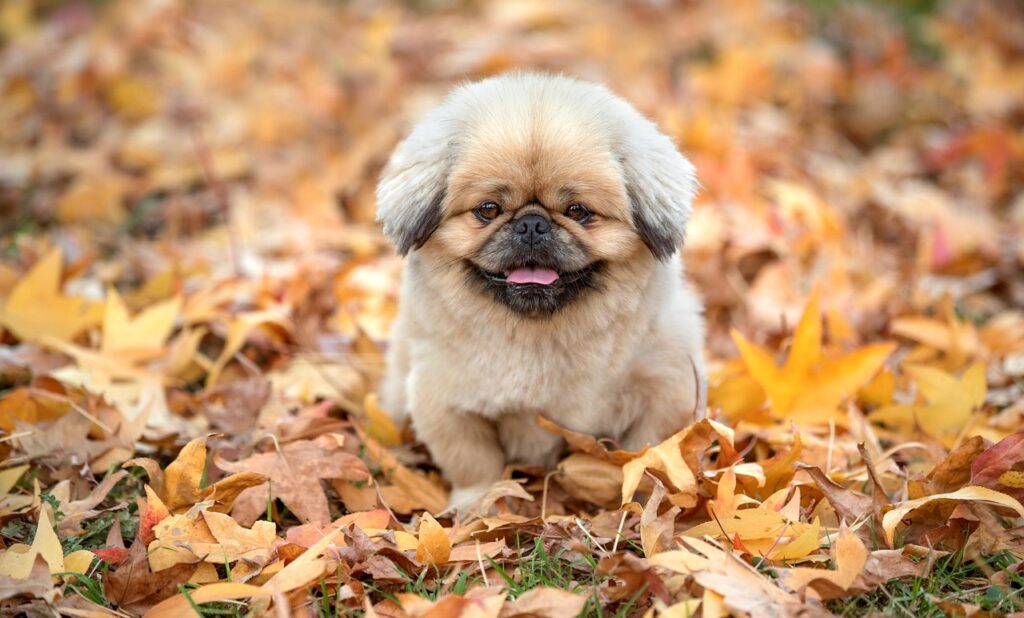 看護師の転職は何年目がベストなのか？