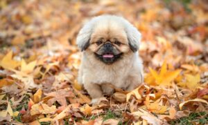 看護師の転職は何年目がベストなのか？