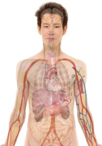 看護師教育担当としてのキャリアをどう築くべきか？