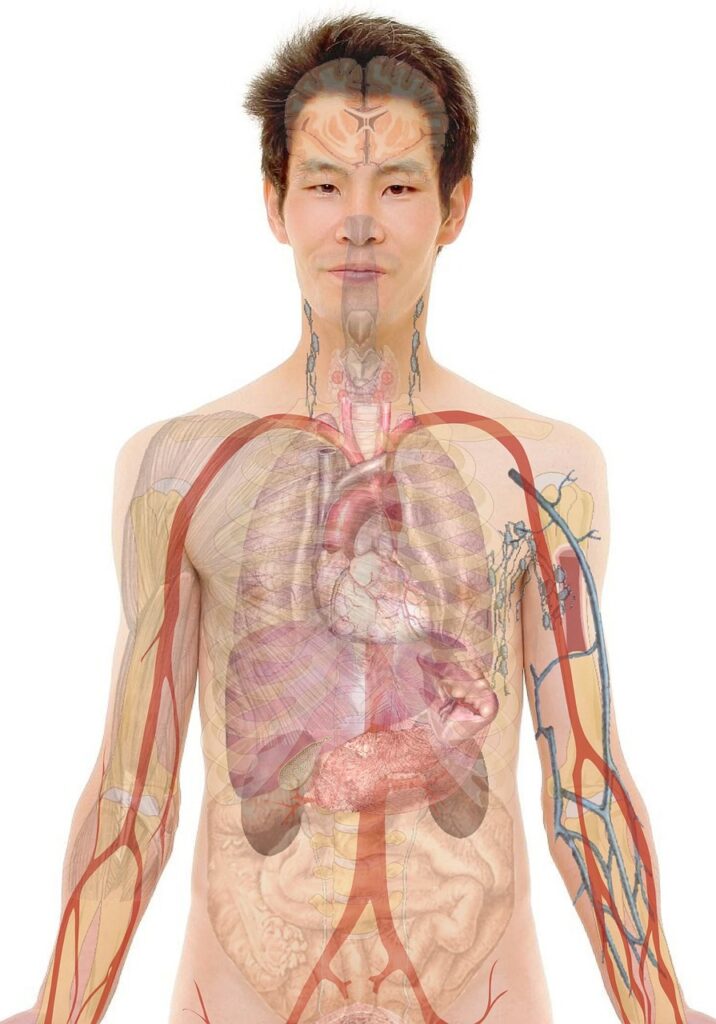 看護師教育担当としてのキャリアをどう築くべきか？